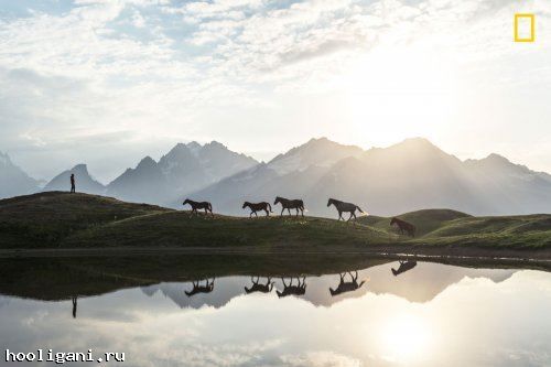 <br />
				Наиболее яркие фотографии, присланные на фотоконкурс 2017 Nature Photographer of the Year (12 фото)<br />
							
