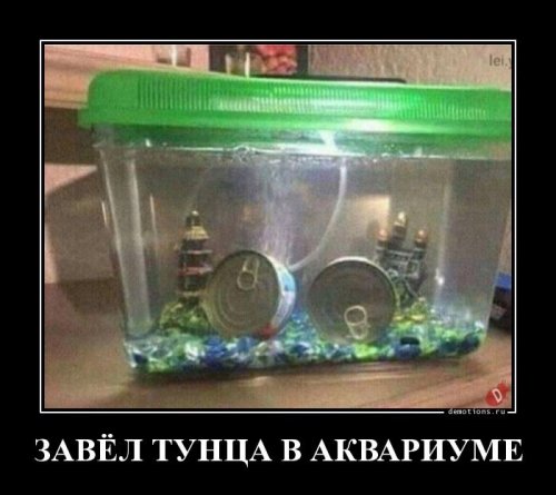 Пятничные демотиваторы (13 шт)