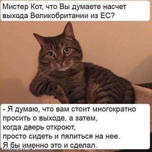 <br />
				А вот и прикольные картинки (23 шт)<br />
							