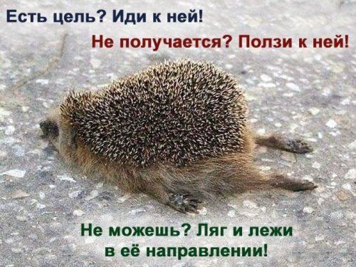 <br />
				Прикольные картинки дня на hooligani.ru.ру (48 шт)<br />
							